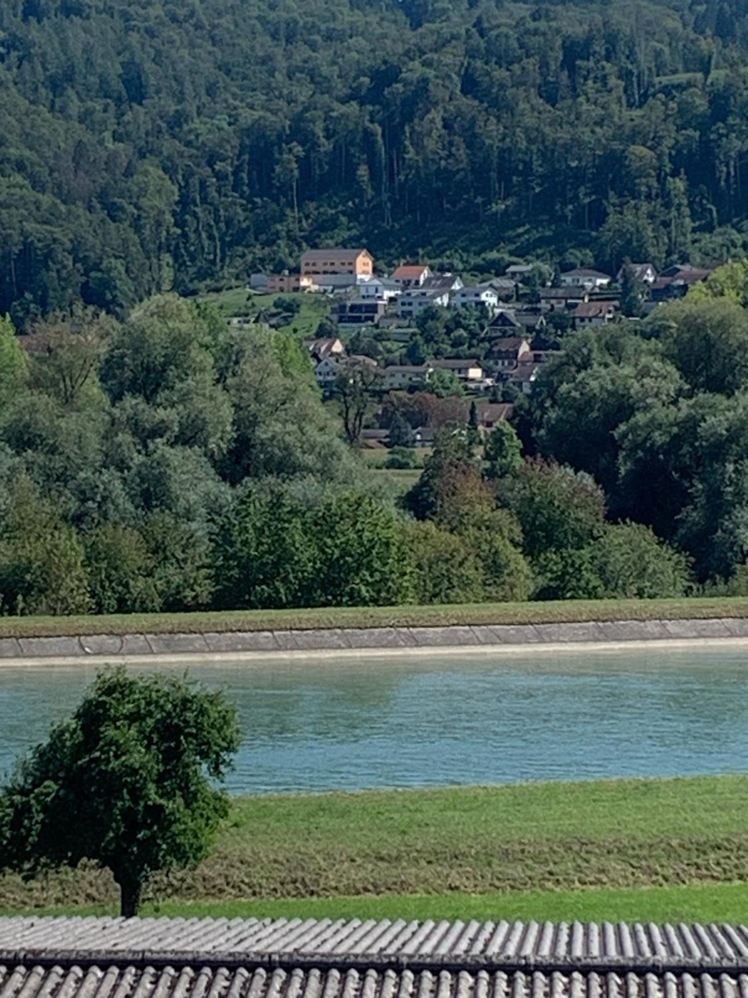 Hochrhein Ferienwohnung Albbruck Bagian luar foto