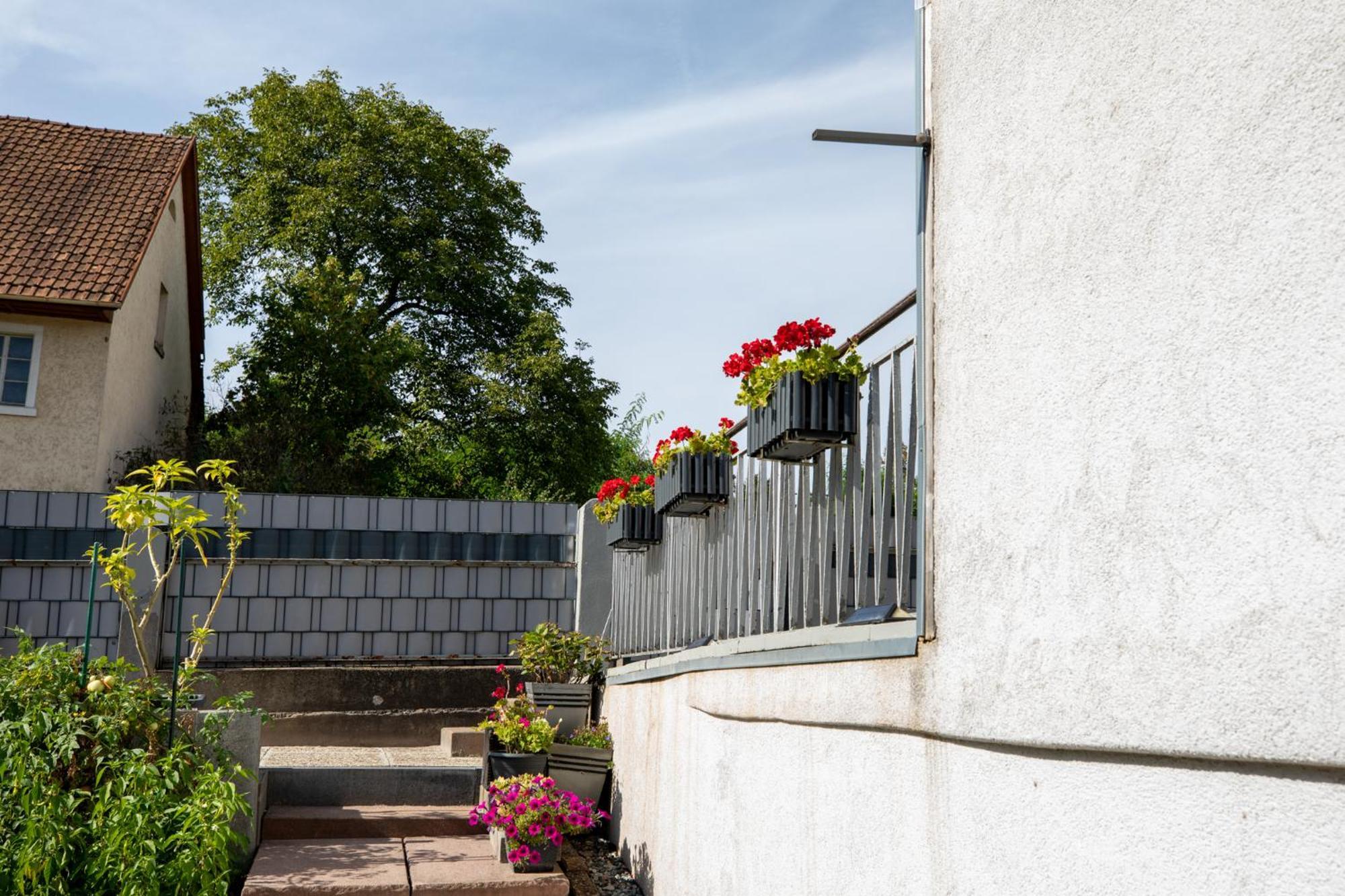 Hochrhein Ferienwohnung Albbruck Bagian luar foto