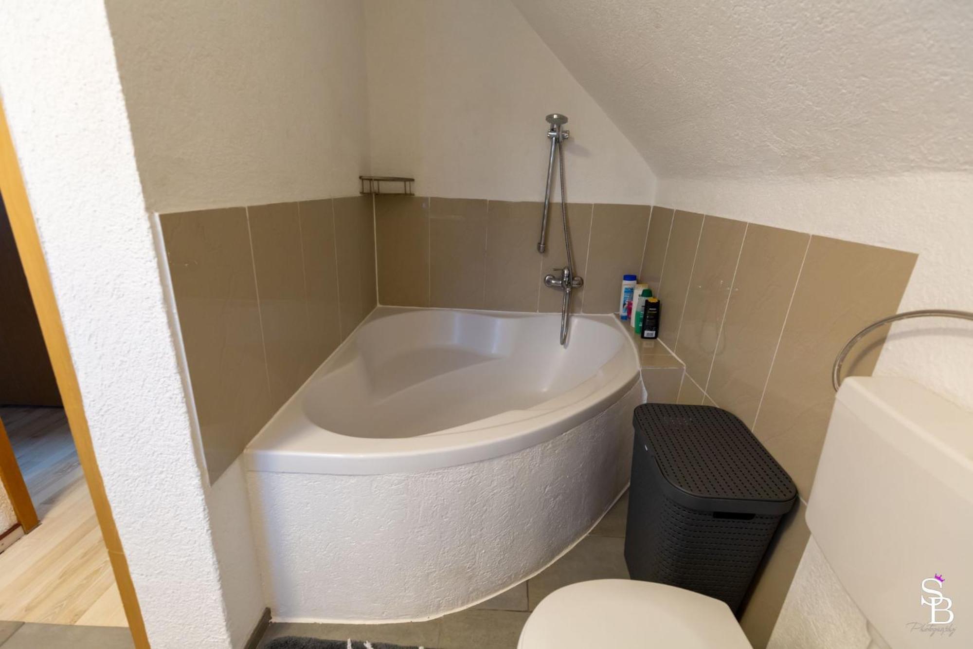 Hochrhein Ferienwohnung Albbruck Bagian luar foto