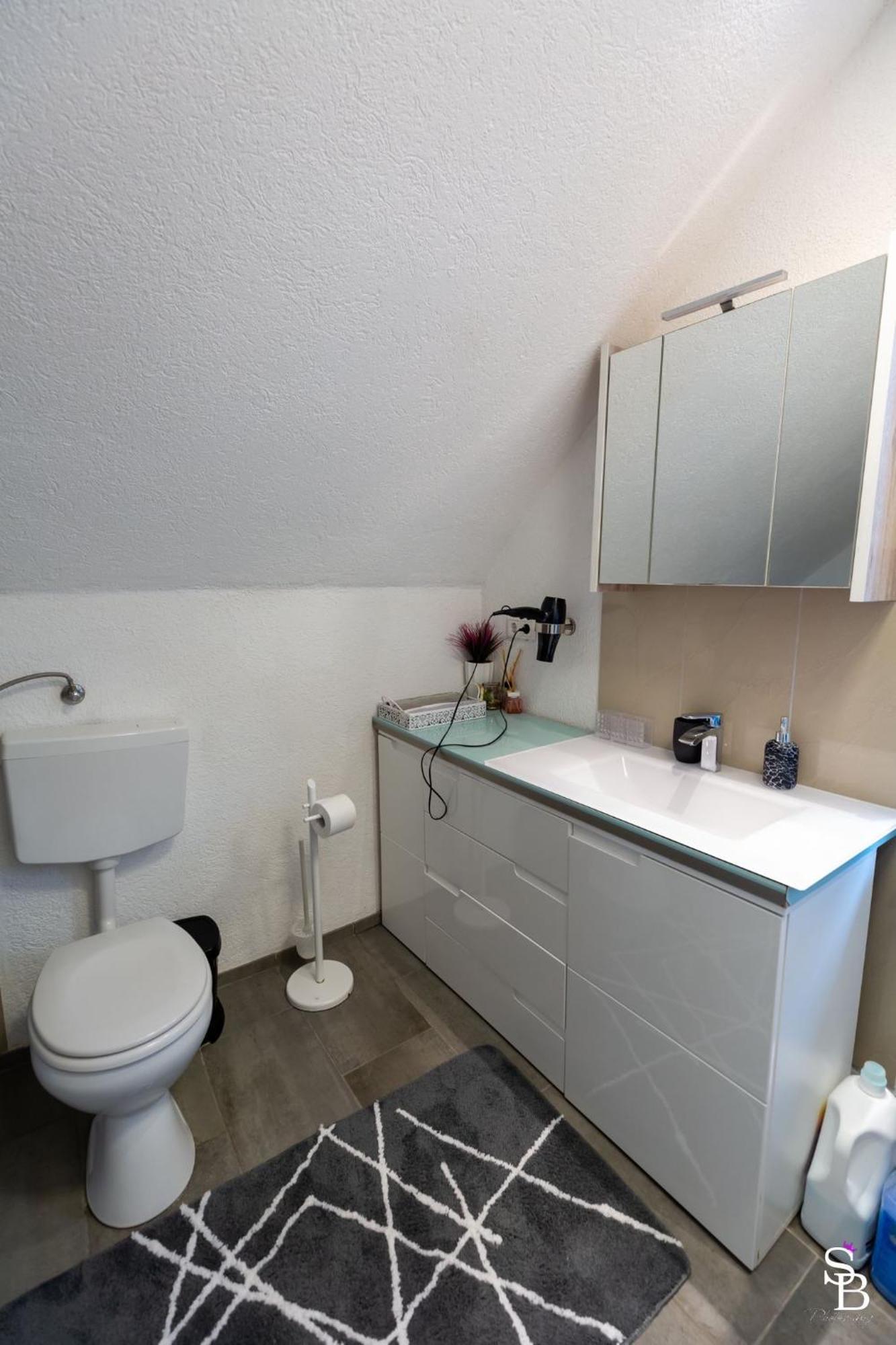 Hochrhein Ferienwohnung Albbruck Bagian luar foto